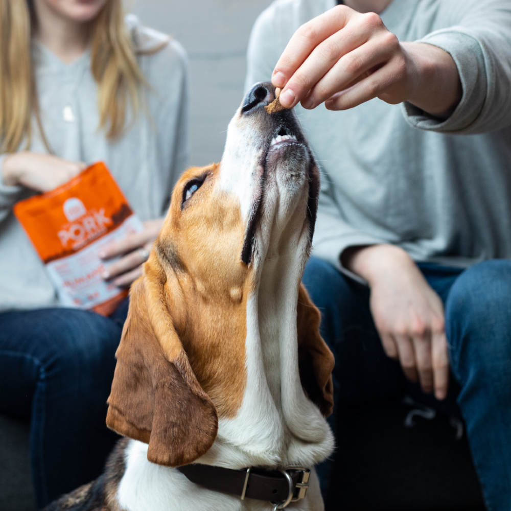 Dehydrated Pork Treats