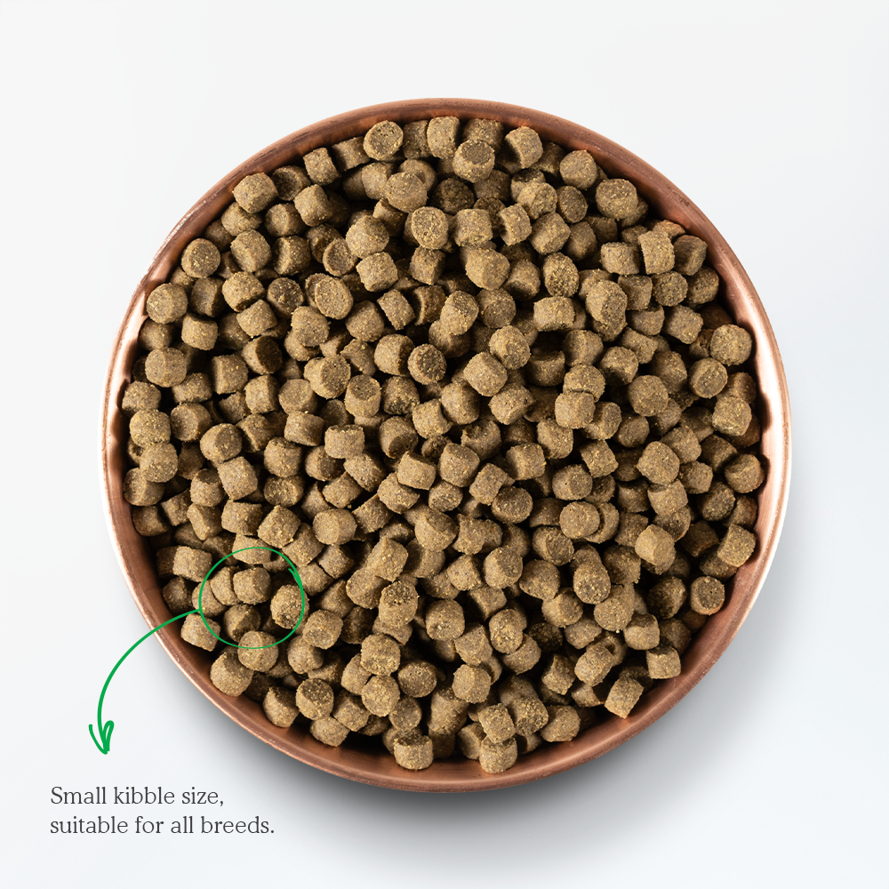 Grass-Fed Beef Dry Dog Food