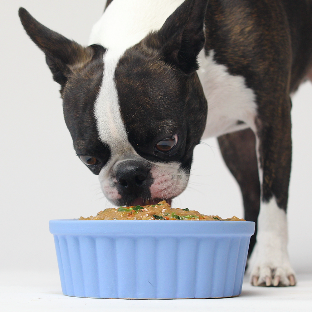 Grass-Fed Beef Rustic Stew Wet Dog Food