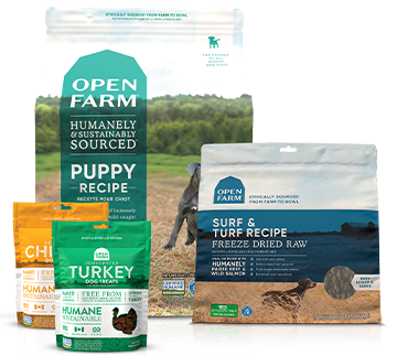 Puppy Essentials Pack