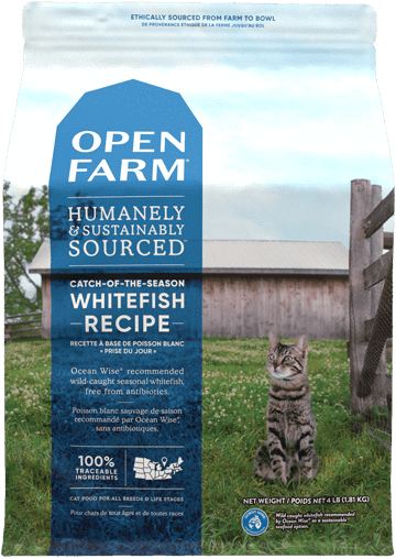 Catch-of-the-Season Whitefish Dry Cat Food